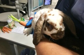 Polizeidirektion Worms: POL-PDWO: Passant rettet Kaninchen auf Supermarktparkplatz