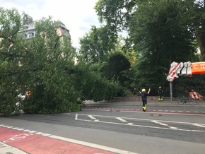 FW-F: Baum umgestürzt, ragt auf eine Kreuzung, droht Oberleitung abzureißen