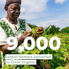 Cotton Farmers in Benin Benefit From Organic Cotton Cultivation