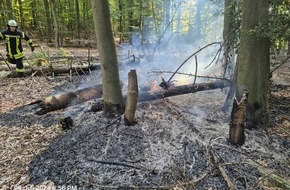 Feuerwehr der Stadt Arnsberg: FW-AR: Feuerwehr Ense und Arnsberg bekämpfen Waldbrand