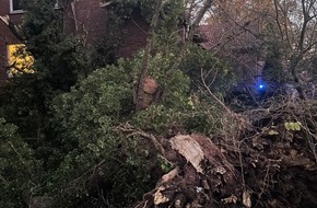 Feuerwehr Flotwedel: FW Flotwedel: Baum auf Haus - Ortsfeuerwehr Wienhausen eilt zur Hilfe