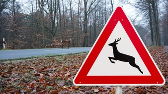 ADAC Hessen-Thüringen e.V.: Achtung Wild! Tiere kennen keine Zeitumstellung