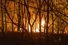 FW-MK: Feuer in einem Waldst&uuml;ck am Duloh