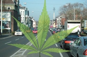 Deutscher Verkehrssicherheitsrat e.V.: Fahrtüchtig mit medizinischem Cannabis? / DVR: verantwortungsvoller Umgang absolut notwendig (FOTO)