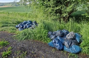 Polizeiinspektion Hildesheim: POL-HI: Illegale M&uuml;llentsorgung in Alfeld - Zeugenaufruf
