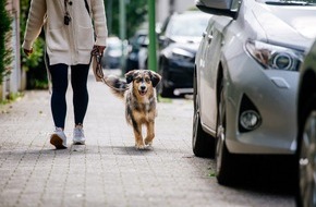 ADAC Hessen-Thüringen e.V.: Vierbeiner auf Reisen / Der ADAC gibt Tipps zur richtigen Urlaubsplanung