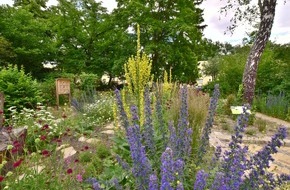 Stiftung für Mensch und Umwelt: Erster Berliner PikoPark gewinnt „European Award for Ecological Gardening 2023“