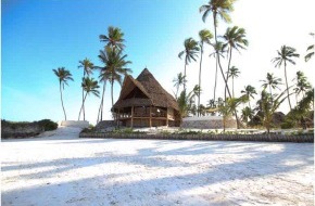 Karibu Africa GmbH / GREEN AND BLUE: Sansibar: Wiener eröffnet Ocean Lodge GREEN AND BLUE und KIM kocht zu
Silvester - BILD