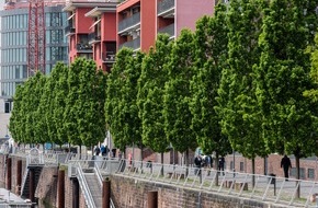 Bund deutscher Baumschulen (BdB) e.V.: Rasanter Klimawandel: BdB fordert Klimabäume auch für die Stadt und die freie Natur