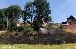 Polizeipräsidium Westpfalz: POL-PPWP: Umgestürzter Baum löst Kettenreaktion aus
