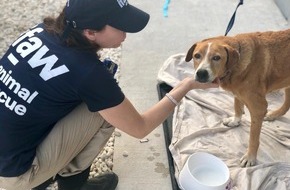 IFAW - International Fund for Animal Welfare: Tierrettungsteam des IFAW auf den Bahamas im Einsatz