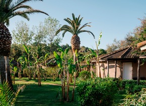 Mediterranean Hospitality: Herbst an der Küste der Götter – Kalabriens stille Schönheit
