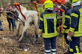 Feuerwehr Flotwedel: FW Flotwedel: Ortsfeuerwehr Nienhof befreit Pferd aus misslicher Lage