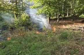 Freiwillige Feuerwehr Lage: FW Lage: Fl&auml;chenbrand im Lagenser Stadtwald