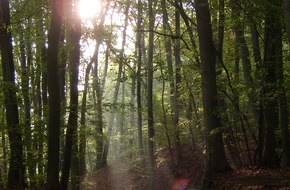 toom Baumarkt GmbH: Gemeinsam Klimawälder schaffen / toom unterstützt im Rahmen einer Aktionswoche rund um PRO PLANET erneut den Naturefund e.V.