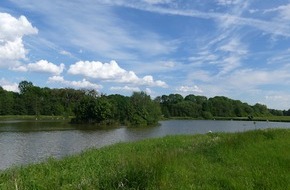 Heinz Sielmann Stiftung: PM Teich bei Rhüden soll Wohlfühloase für seltene Kammmolche werden