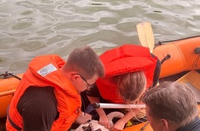 Feuerwehr Detmold: FW-DT: Jungschwan aus misslicher Lage gerettet
