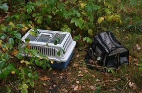 Polizeiinspektion Heidekreis: POL-HK: Soltau: Ausgesetzte Hauskatzen, Sattelauflieger aufgebrochen; Schwarmstedt: Audi entwendet; Walsrode: Auf der Felge gefahren; Munster: Einbruch in Garage; Bad Fallingbostel: Lkw brennt, pp.
