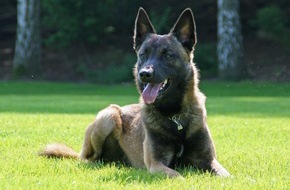 Polizei Dortmund: POL-DO: Rauschgiftspürhund Bascos Beute der vergangenen Tage