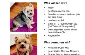 Landespolizeiinspektion Saalfeld: LPI-SLF: Suche nach Hundebesitzer