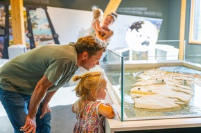 Spontanurlaub in Cuxhaven buchen- Einzigartig vielfältig!