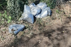 Polizeiinspektion Cloppenburg/Vechta: POL-CLP: Pressemeldung für den Bereich Cappeln/Sevelten