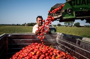 Mutti S.p.A. Industria Conserve Alimentari: Tag der Tomate 2021: Zurück zum Wesentlichen