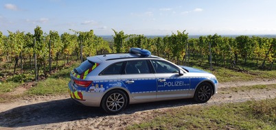 Polizeidirektion Neustadt/Weinstraße: POL-PDNW: Bad Dürkheim - Rollerfahrer ohne Fahrerlaubnis auf einem Feldweg unterwegs