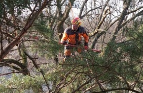 Baumpflege Kasper GmbH: Sichere Behebung von Baumschäden nach Sturmereignissen