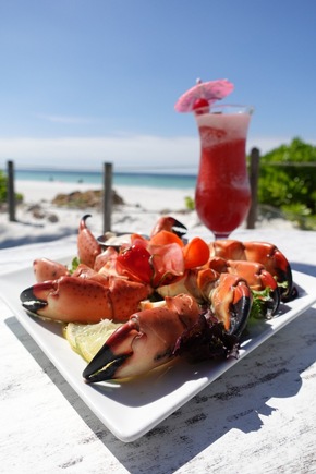 Der authentische Geschmack Floridas: Sechs Spezialit&auml;ten der Bradenton Gulf Islands