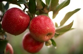 Deutschland - Mein Garten (eine Initiative der Bundesvereinigung der Erzeugerorganisationen Obst und Gemüse / BVEO): Mach dein Taste-ament! Fräulein, die neue Apfelentdeckung aus Deutschland, stellt sich dem großen Geschmackstest