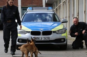 Polizei Duisburg: POL-DU: Dexter und Denver wollen Polizeihunde werden