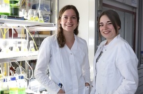 Hochschule Bremerhaven: Wachsen Tierzellen auf Mikroalgen?