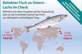 Greenpeace e.V.: Greenpeace: Zu Ostern den richtigen Fisch wählen /
Wie erkenne ich beim beliebten Speisefisch Lachs ein ökologisch vertretbares Angebot?
