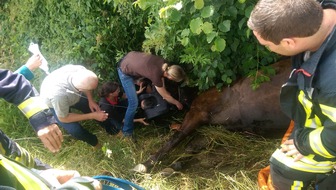 FW-OE: Pferdekutsche verunglückt - erfolgreiche Rettung eines Pferdes in Elspe