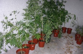 Polizeidirektion Göttingen: POL-GOE: (1208/2006) Durchsuchung in Westerode - Cannabiszucht bei 19-Jährigem beschlagnahmt