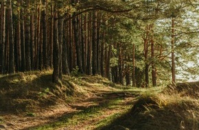 Familienbetriebe Land und Forst: Ökosystemleistungen des Waldes als Klimaschützer Nr.1 müssen honoriert werden