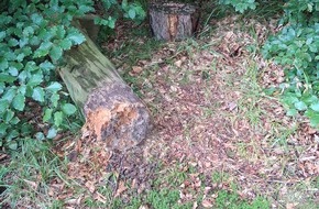 Polizeiinspektion Hameln-Pyrmont/Holzminden: POL-HM: Sachbesch&auml;digung auf dem Waldfriedhof S&uuml;ntel - Polizei sucht Zeugen