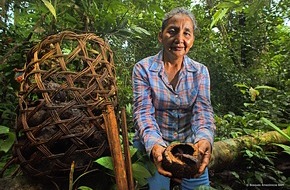 ClimatePartner GmbH: Beitrag zum Klimaschutz und Hilfe für die Paranussbauern in Peru: der Erfolg von Tambopata