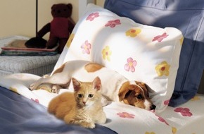 Novartis Tiergesundheit AG: Novartis Animal Health SA: Gare aux puces!