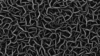 Universität Duisburg-Essen: Verfahren zum Patent angemeldet: Katalysator-Herstellung in einem Schritt