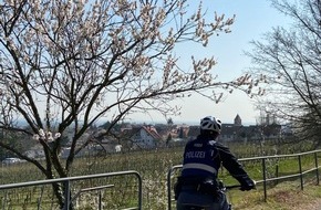 Polizeidirektion Neustadt/Weinstraße: POL-PDNW: Mandelblüte Gimmeldingen