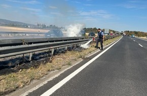 Polizeidirektion Landau: POL-PDLD: Brand auf dem Mittelstreifen der BAB 65