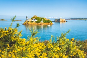 Bretagne: Wo die einzigen Nachbarn die Kegelrobben sind