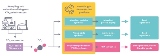 nova-Institut GmbH: EU-funded Research Project UNICO&acirc;RN Converts Biogenic CO&acirc; into Proteins and Bioplastics