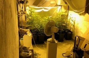 Polizei Paderborn: POL-PB: Kripo findet Marihuana-Plantage bei Hausdurchsuchung