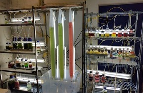 Hochschule Bremerhaven: Hochschulprojekt „ALGROW“ erforscht nachhaltige Möglichkeiten der Mikroalgenproduktion
