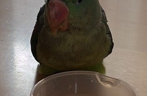 Polizeidirektion Landau: POL-PDLD: Tierischer Zuwachs