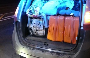 Kreispolizeibehörde Oberbergischer Kreis: POL-GM: Illegaler Tiertransport: Hunde- und Katzenwelpen gerettet