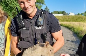 Polizeidirektion Bad Segeberg: POL-SE: Elmshorn - Lammretter im tierischen Einsatz